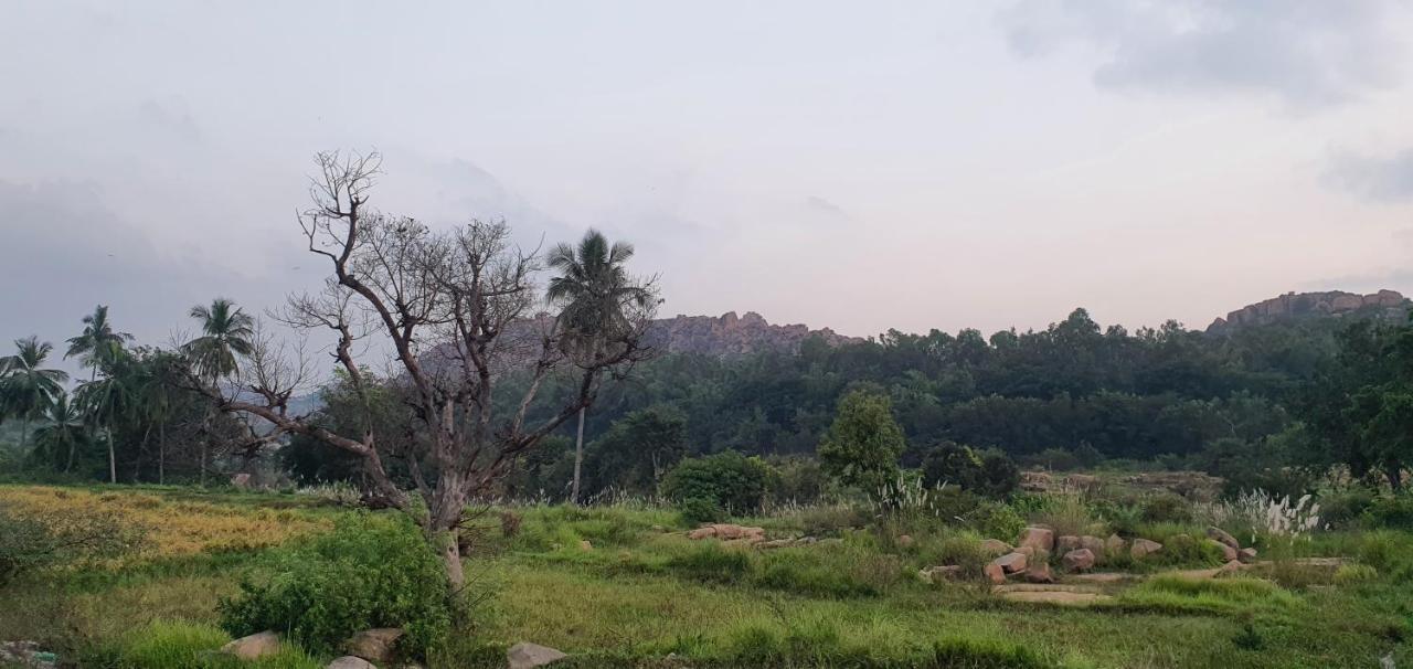 Lazy Panda Hotel Hampi Eksteriør billede