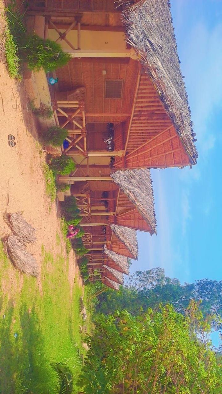 Lazy Panda Hotel Hampi Værelse billede