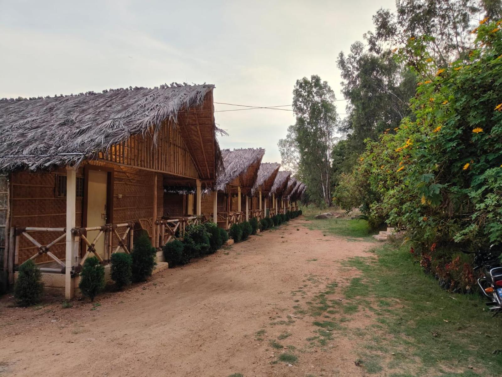 Lazy Panda Hotel Hampi Værelse billede